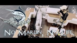 nomarlin
