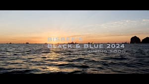 BISBEE'S Black & Blue 2024